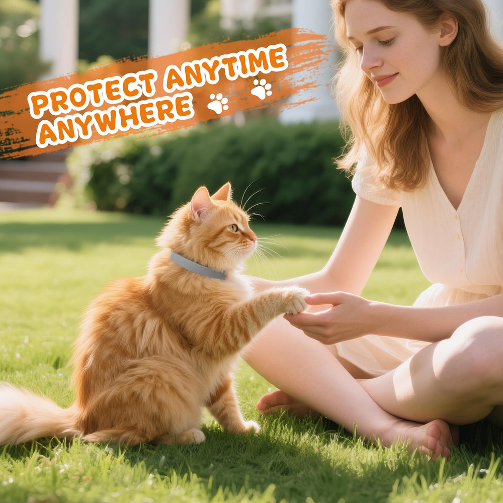 Trihood collar-gato bucle-seguro: cierre robusto para juego y descanso.