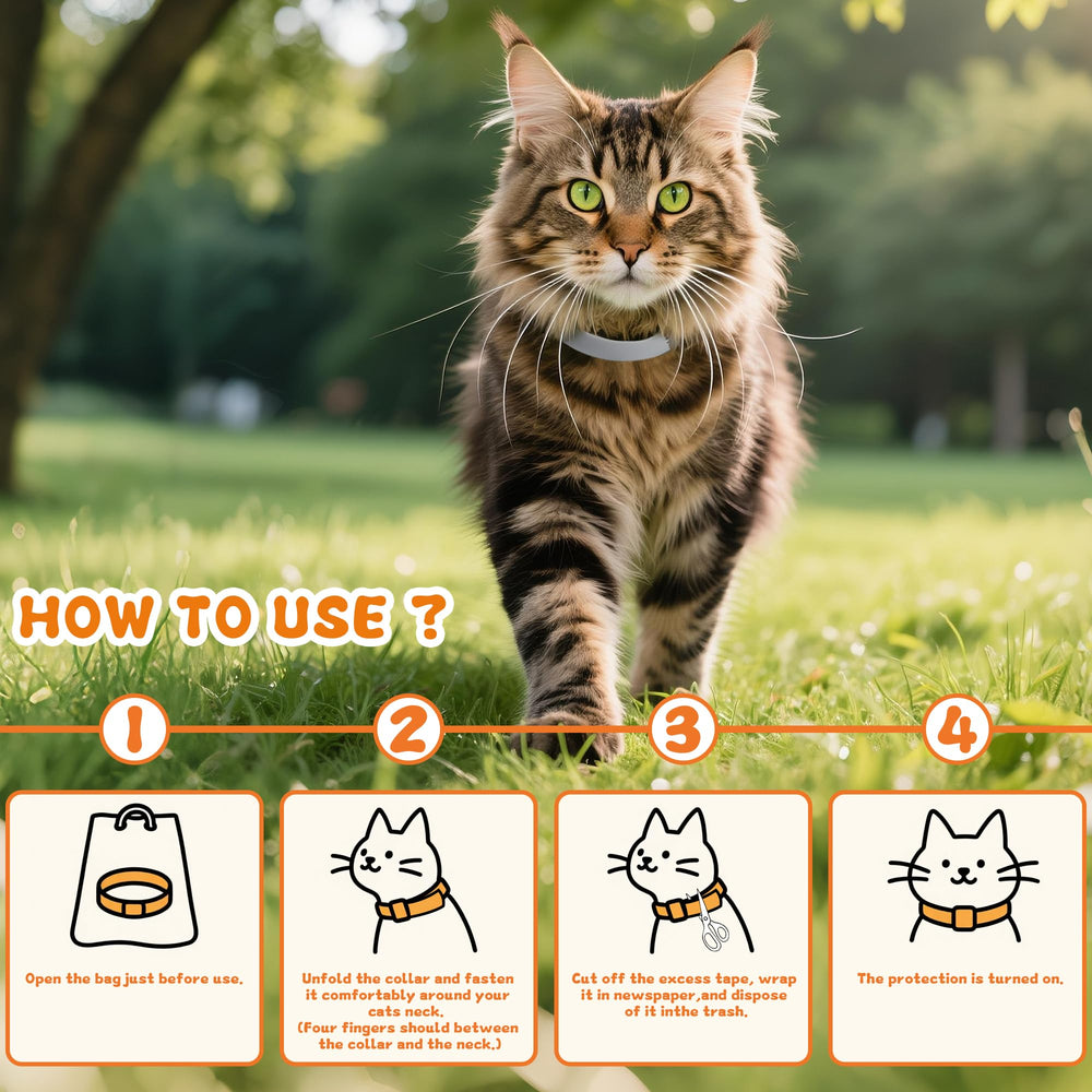 Trihood collar-gato uso-diario: práctico para gatitos y gatos adultos.