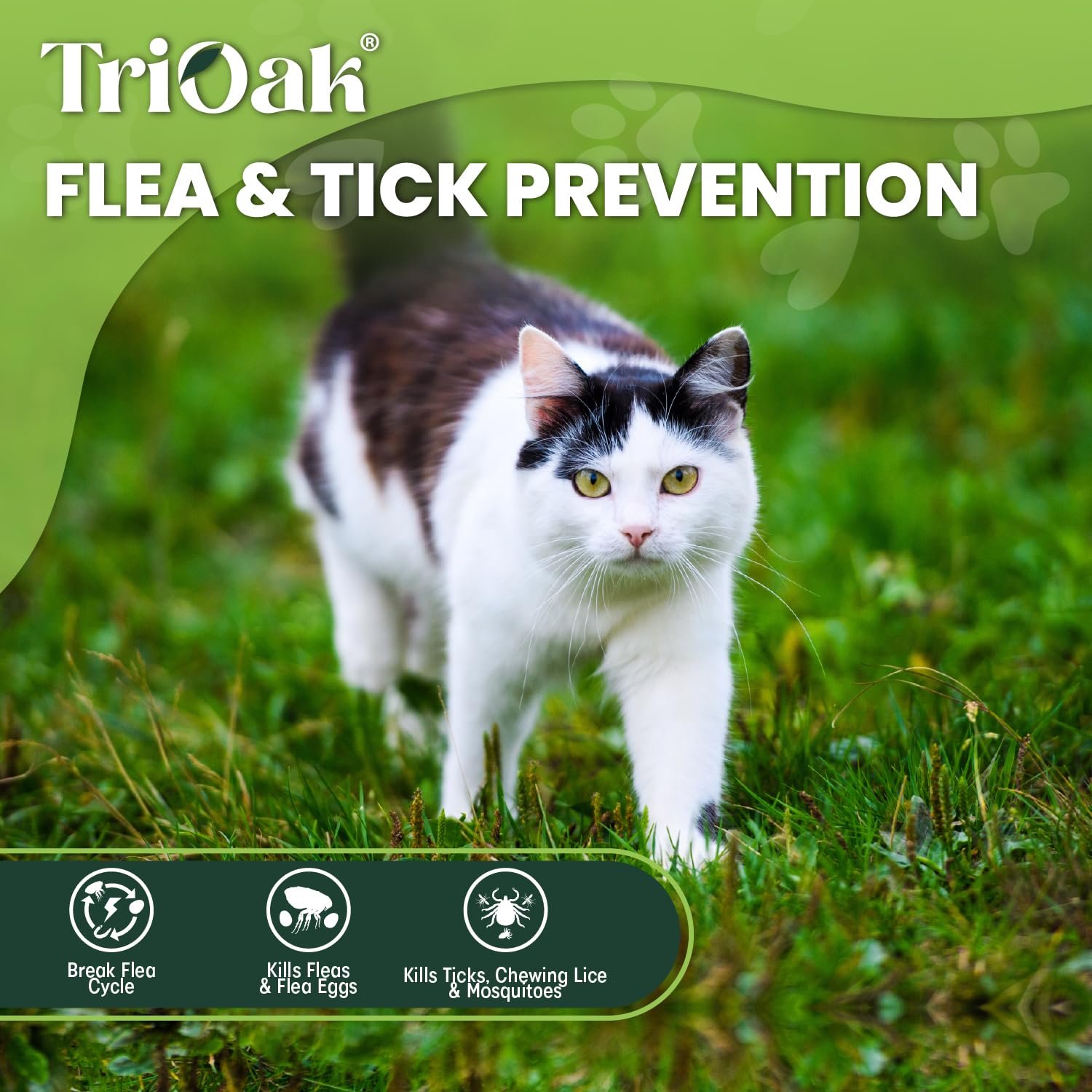 TriOak frasco de aplicación tópica para gato, uso cómodo y directo.