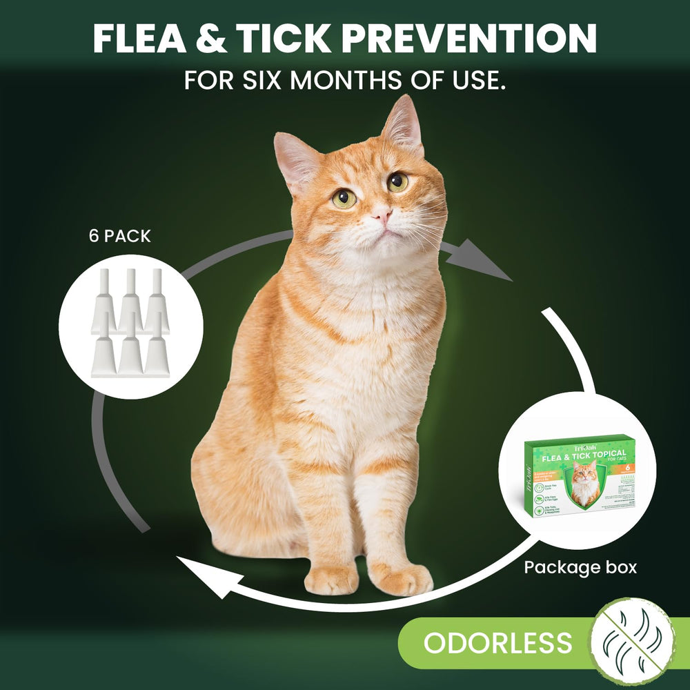 TriOak presentación en caja para gato, fácil de guardar y usar.