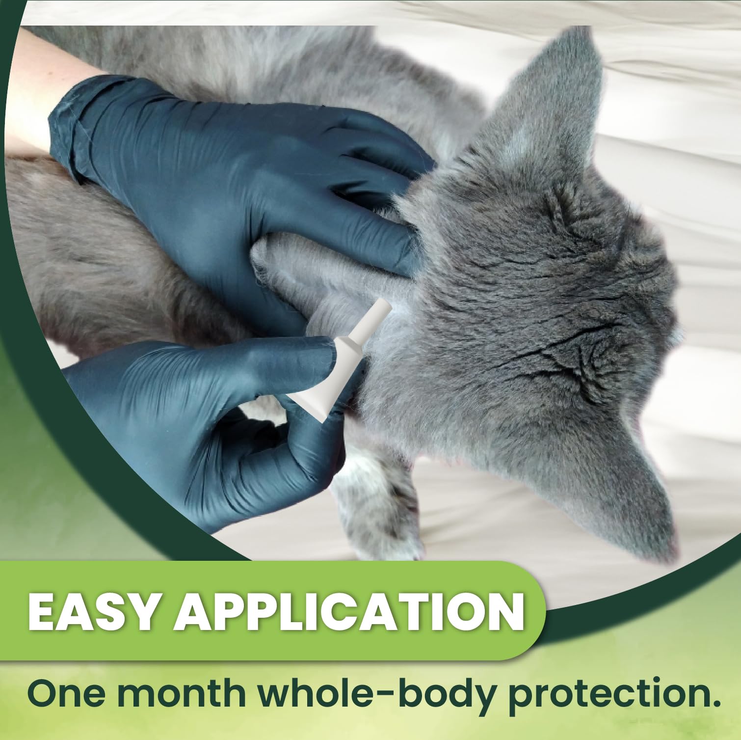 TriOak protección para gato durante 6 meses, ideal para hogares con mascotas.