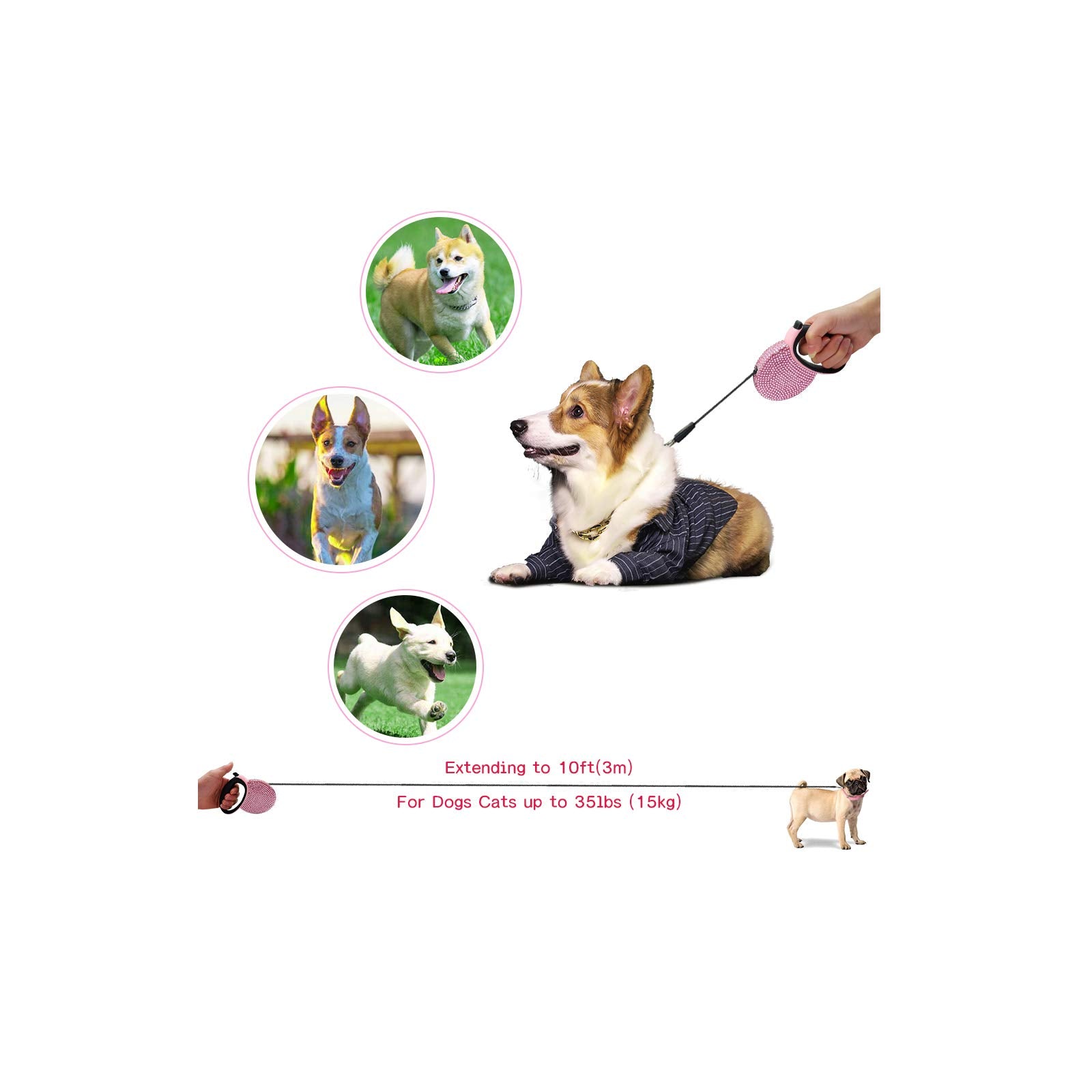 Correa de nylon resistente Triumilynn para perros pequeños y uso diario.