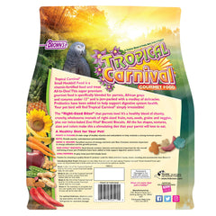 Tropical Carnival pájaro comiendo demuestra el sabor irresistible de la mezcla gourmet.