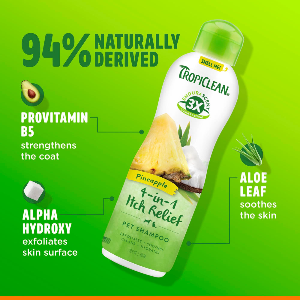 TropiClean Champú apto para gatos, cuidado suave.