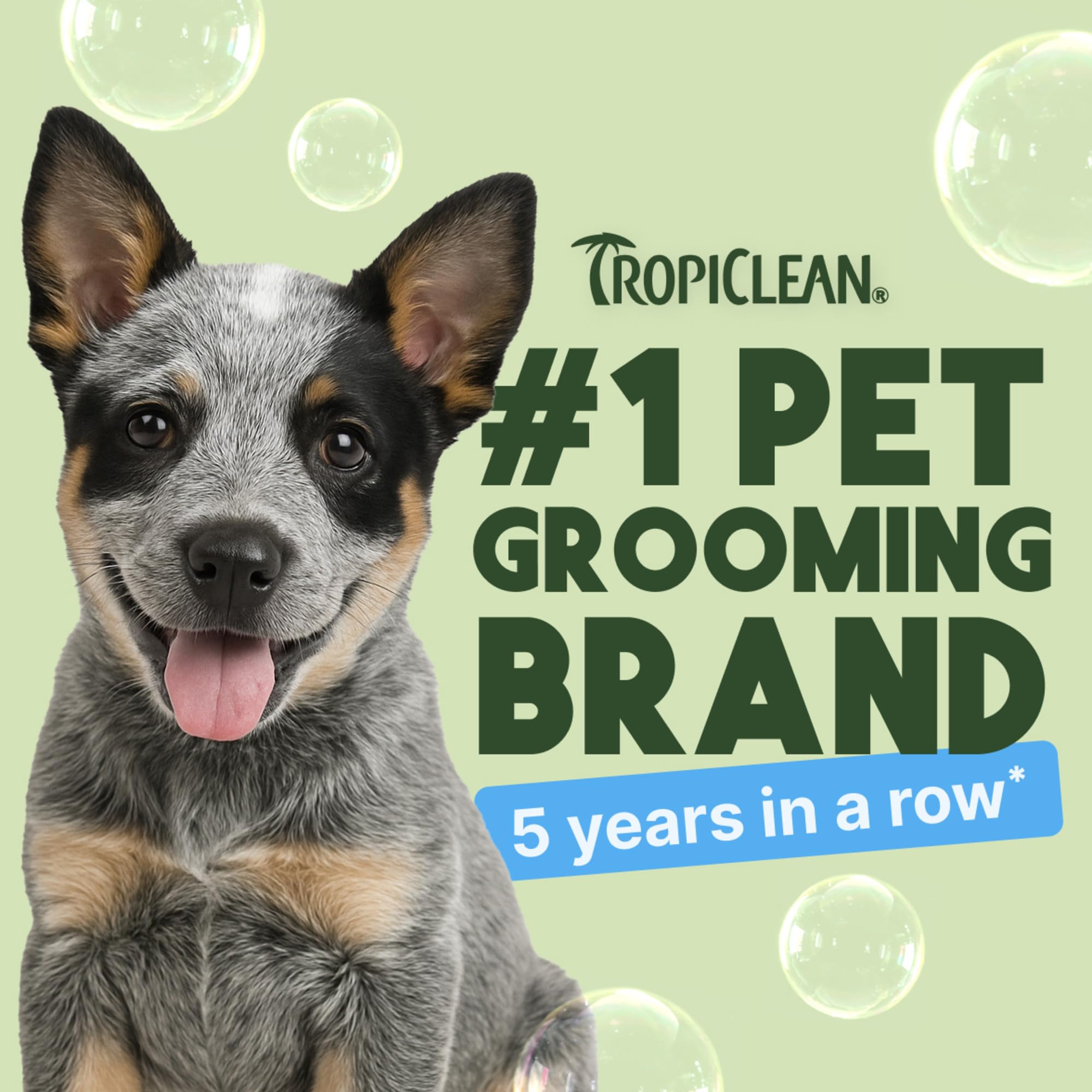 TropiClean champú suave para cachorros con avena y aloe para piel sensible