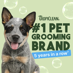 TropiClean champú suave para cachorros con avena y aloe para piel sensible