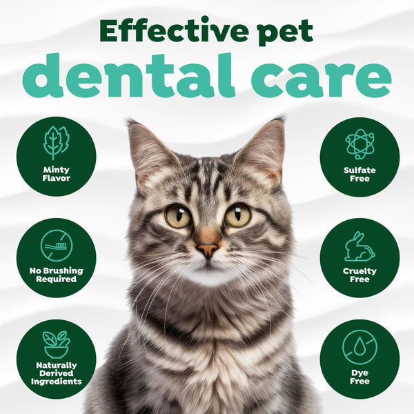 TropiClean cuidado oral para gatos, reduce placa y sarro.