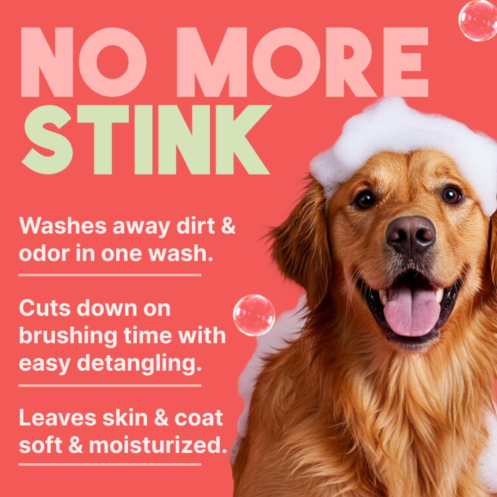 Desenredo del pelo de perro con Tropiclean para un cepillado más fácil.