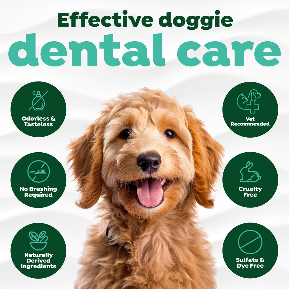 TropiClean enjuague sin sabor para perros, suave y cómodo.