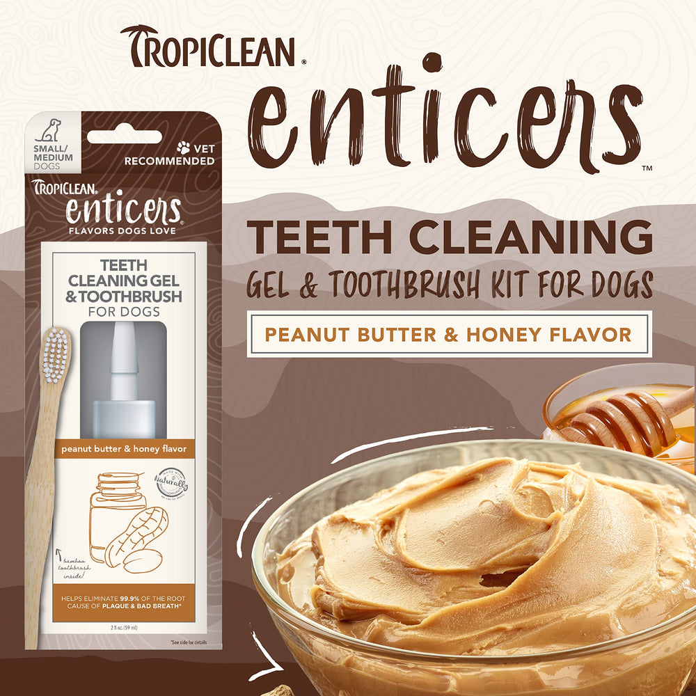 Cepillo de bambú TropiClean Enticers con cerdas suaves para un cepillado cómodo.