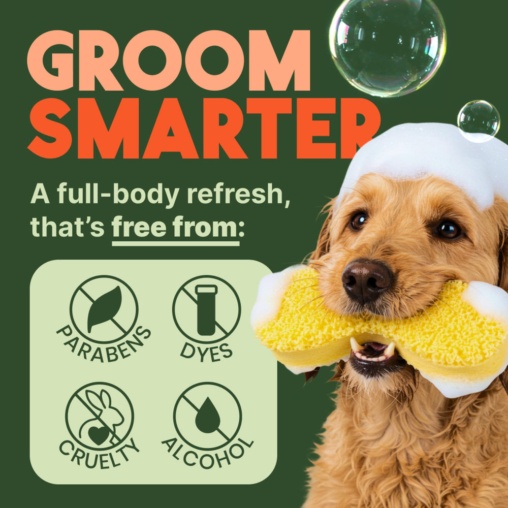 Fragancia tropical de papaya y coco para perros con aroma duradero.