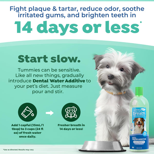 TropiClean Fresh Breath: aliento fresco para perros durante horas.