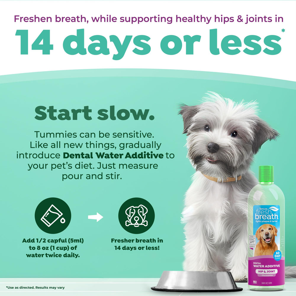 TropiClean Fresh Breath Water Additive, primer plano de boca con menos placa.
