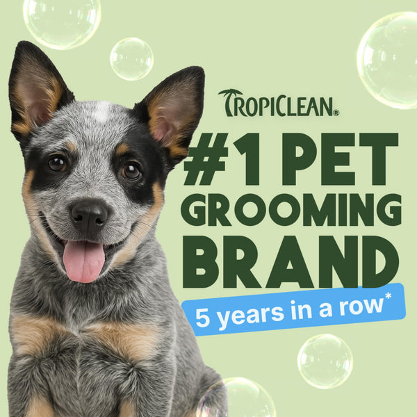 Champú TropiClean para cachorros, aroma a coco en el pelaje