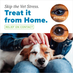 Cuidado en casa con TropiClean HomeVet, ayuda a limpiar secreciones oculares.