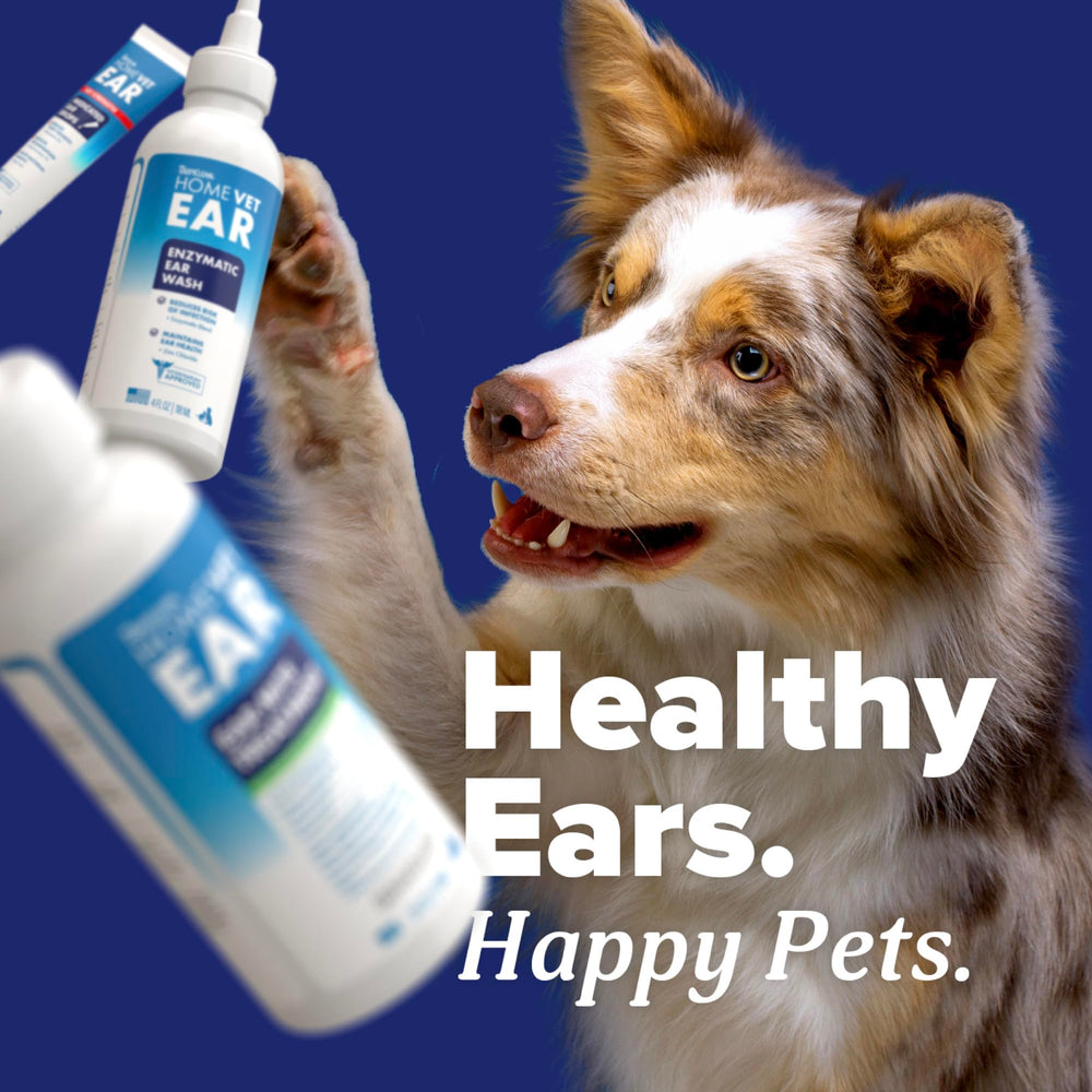 TropiClean HomeVet: orejas limpias y confort tras la limpieza.