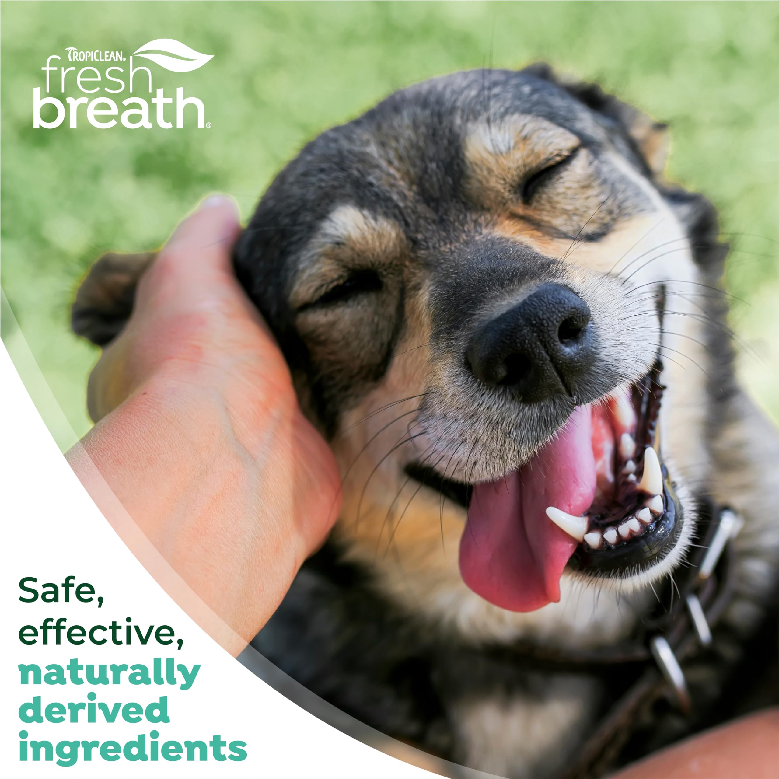 TropiClean cuidado oral diario para perros, uso sencillo y rápido.