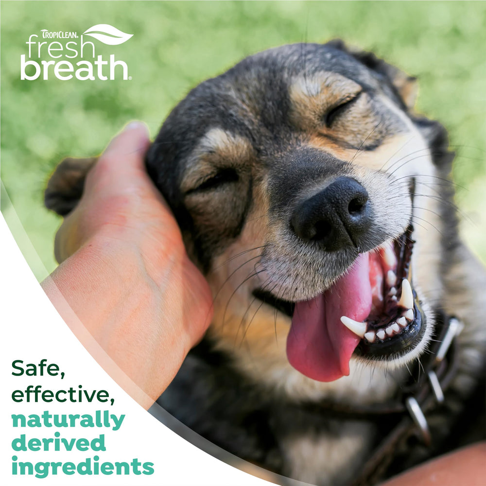 TropiClean cuidado oral diario para perros, uso sencillo y rápido.