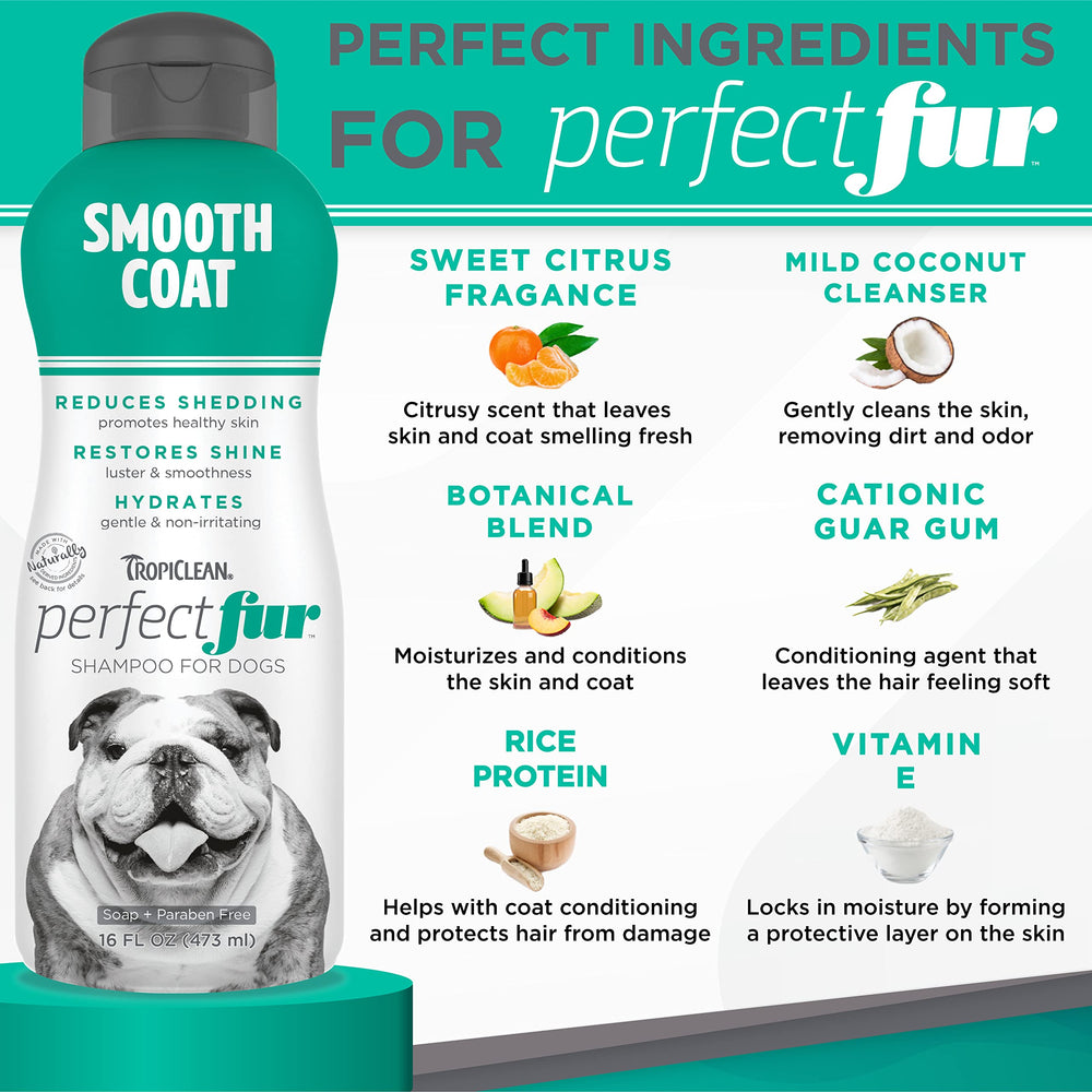 TropiClean Perfect Fur: champú con extractos de fruta para piel sana.