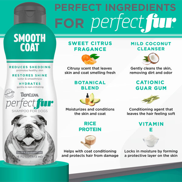 TropiClean Perfect Fur: champú con extractos de fruta para piel sana.