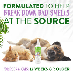 TropiClean perfume perro pelo suave; brillo y suavidad tras la aplicación.