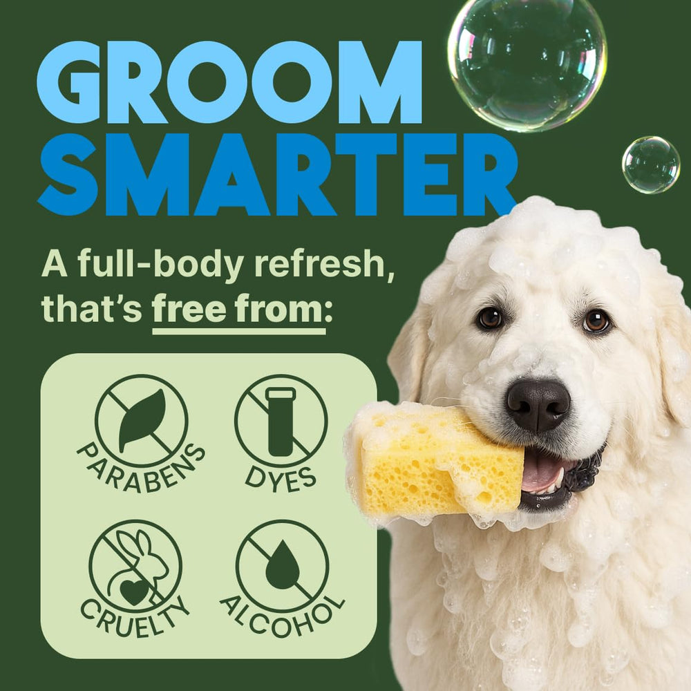 Perro tras baño con pelaje suave y brillo natural.