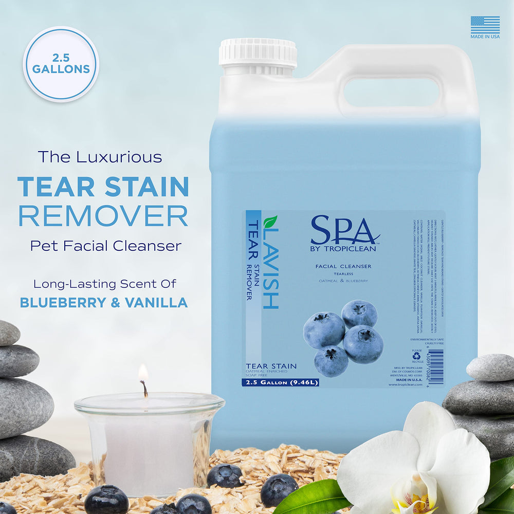 TropiClean Spa: champú facial de arándano para perros, aroma suave que envuelve el pelaje.