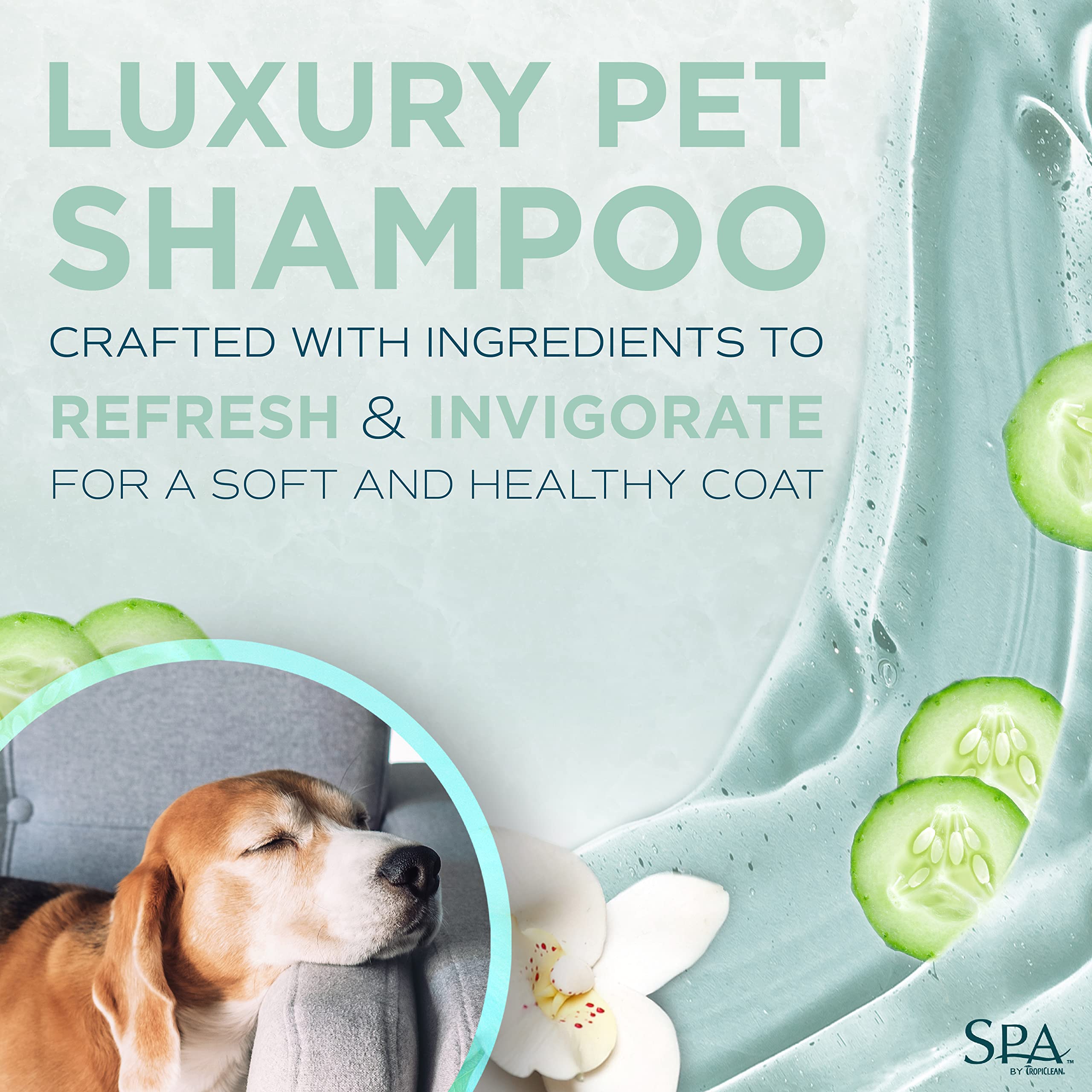 TropiClean SPA Lavish: limpieza de salón para perros.