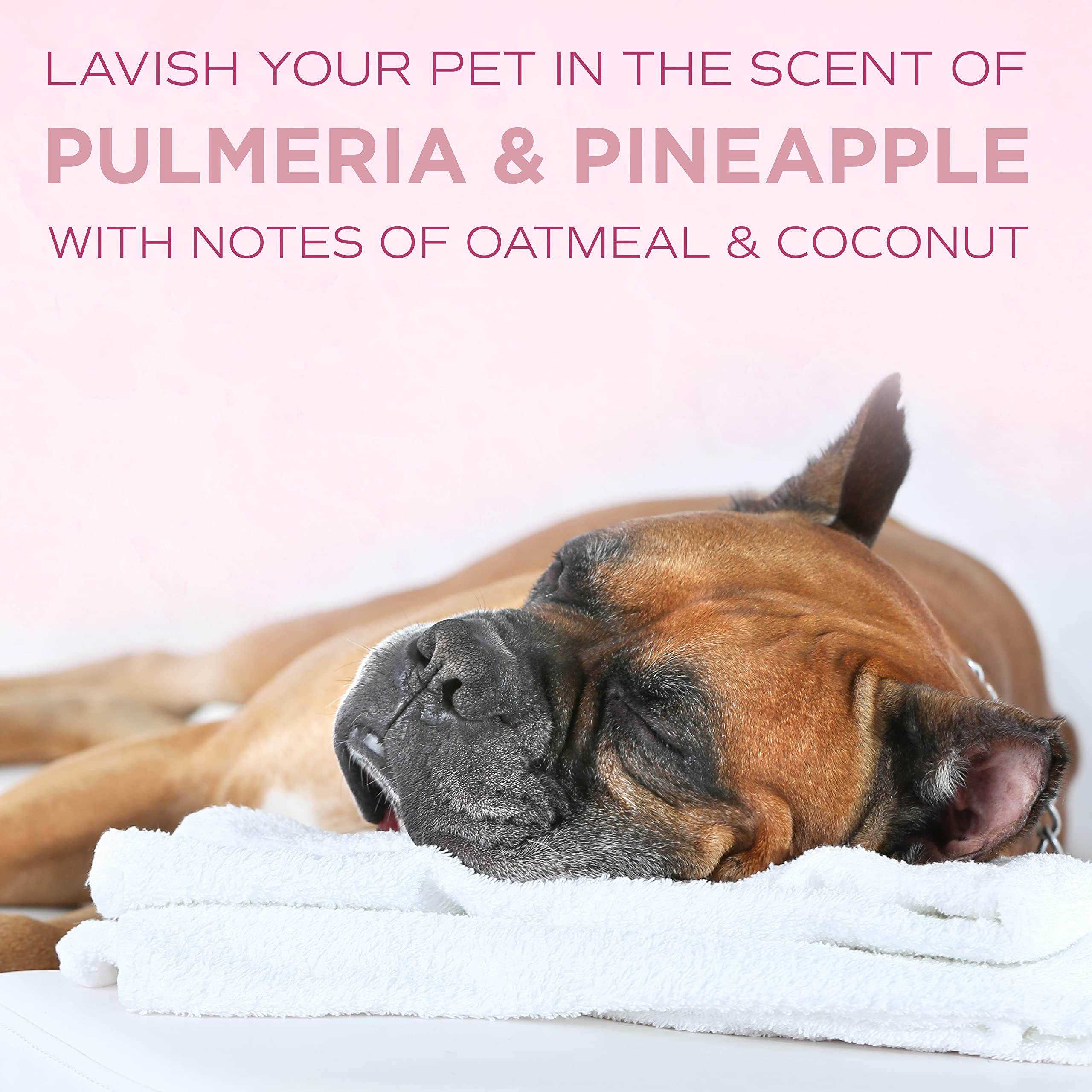 TropiClean SPA Lavish Champú para Perros: nutrición con vitamina E, avena y B5