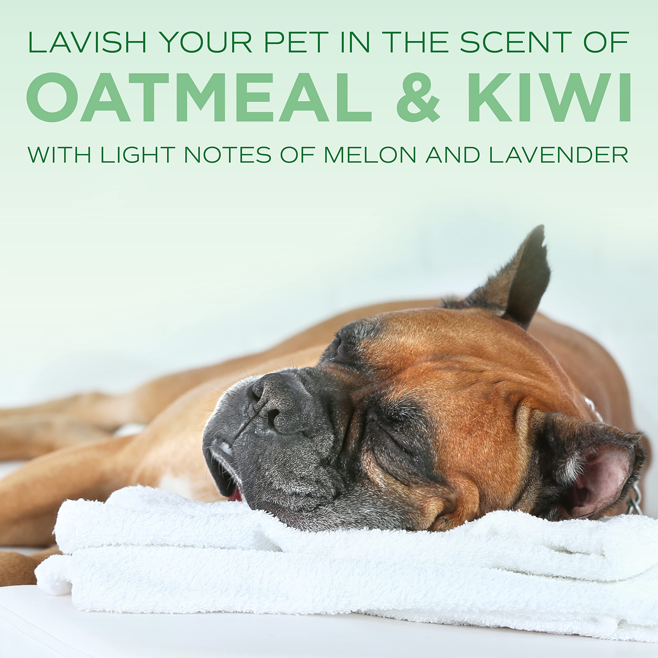 TropiClean SPA Lavish champú para perros – recomendado por peluqueros caninos para un cuidado de salón.