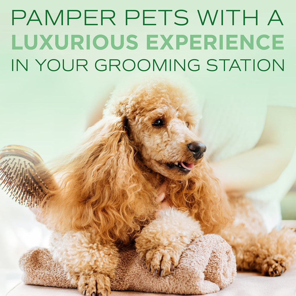 TropiClean SPA Lavish champú para perros – sin jabón, limpieza suave.