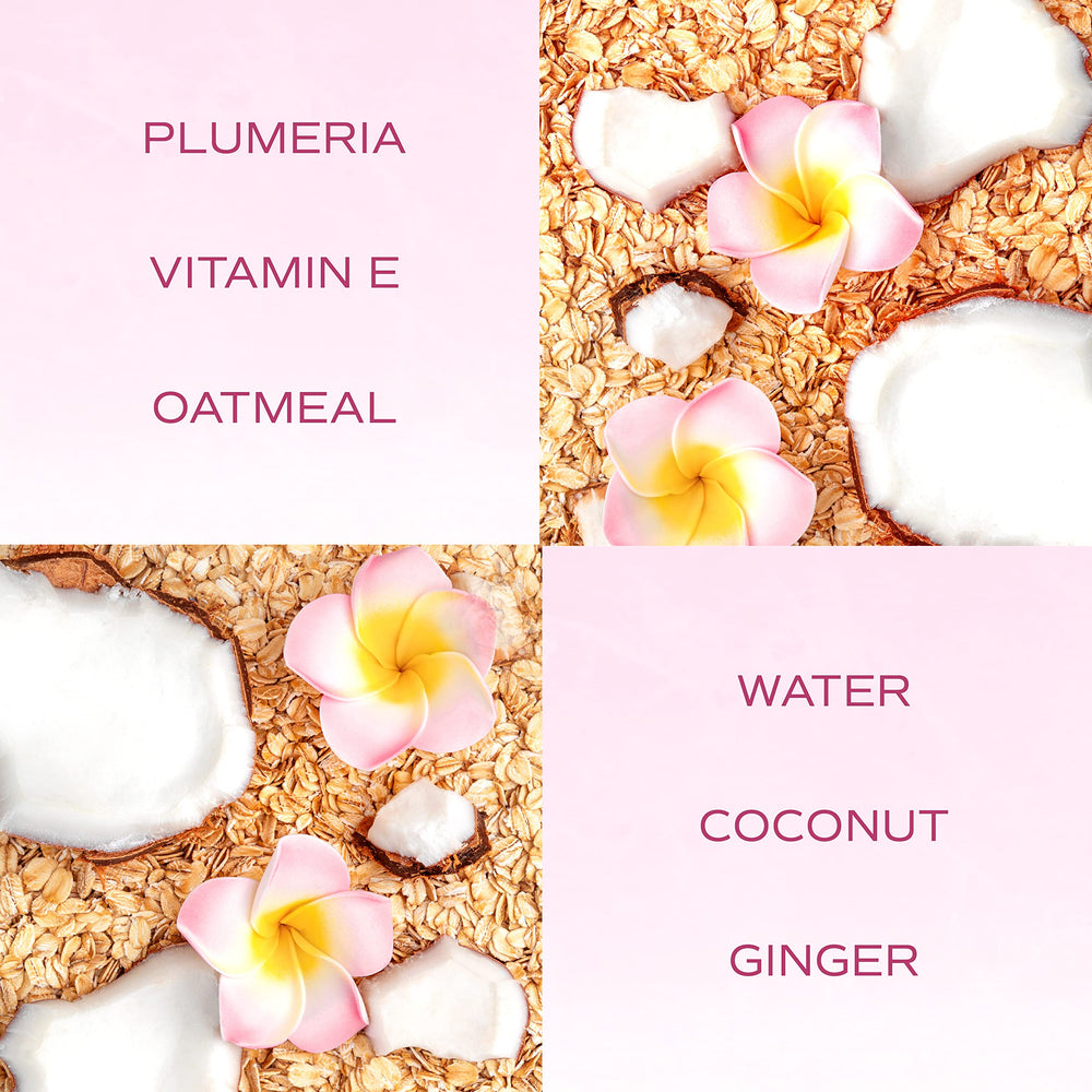 TropiClean SPA Lavish Champú para Perros: fórmula elaborada en EE. UU. con ingredientes naturales