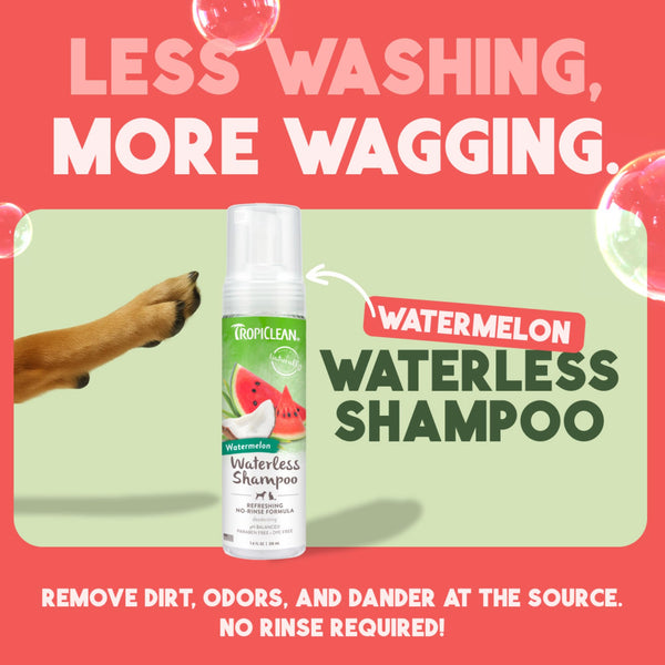 TropiClean Watermelon Waterless Shampoo, aplicación para perros, limpieza rápida.