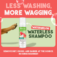 TropiClean Watermelon Waterless Shampoo, aplicación para perros, limpieza rápida.