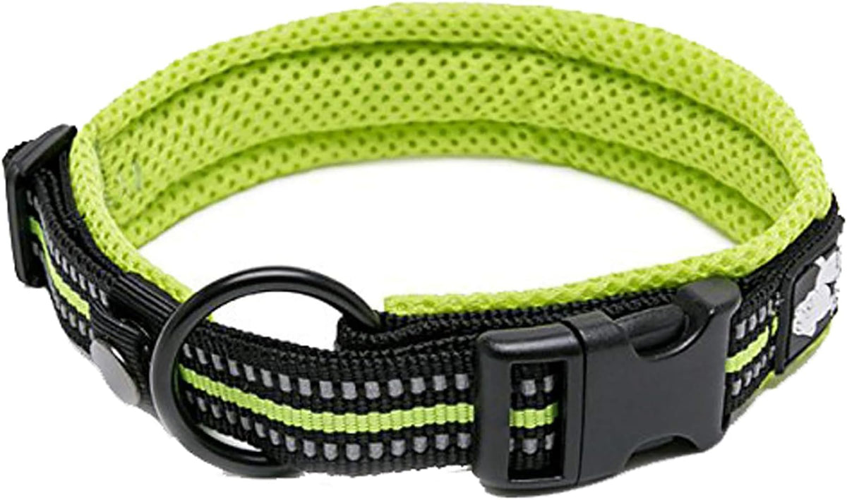 TRUE LOVE Truelove collar reflectivo con hebilla Duraflex para visibilidad nocturna.