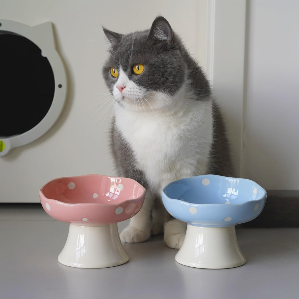 Tazón cerámico TRUNDISAN duradero, azul, diseño anti-derrame para gatos.