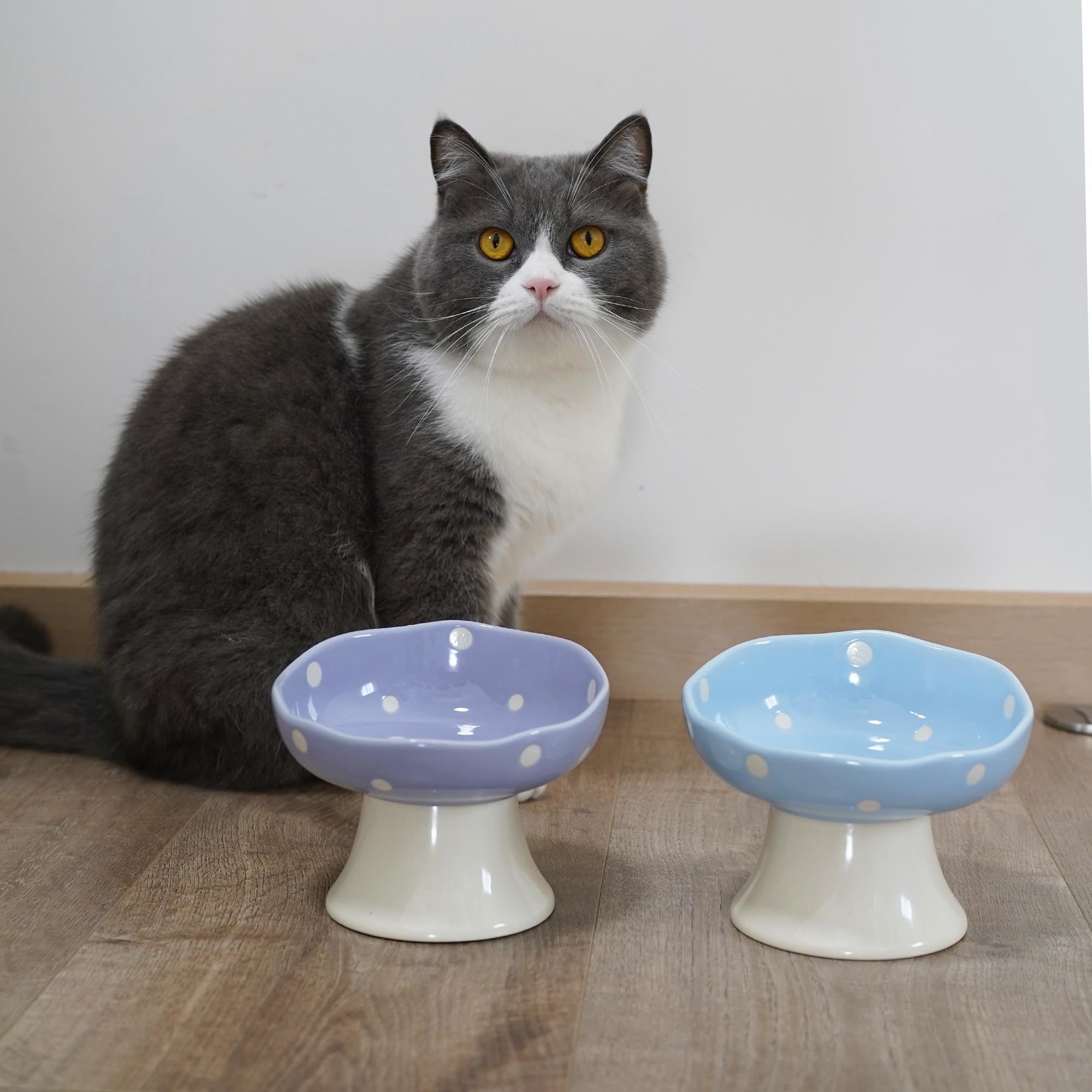 Tazón cerámico TRUNDISAN para cachorros y gatitos, azul, ayuda a comer cómodo.