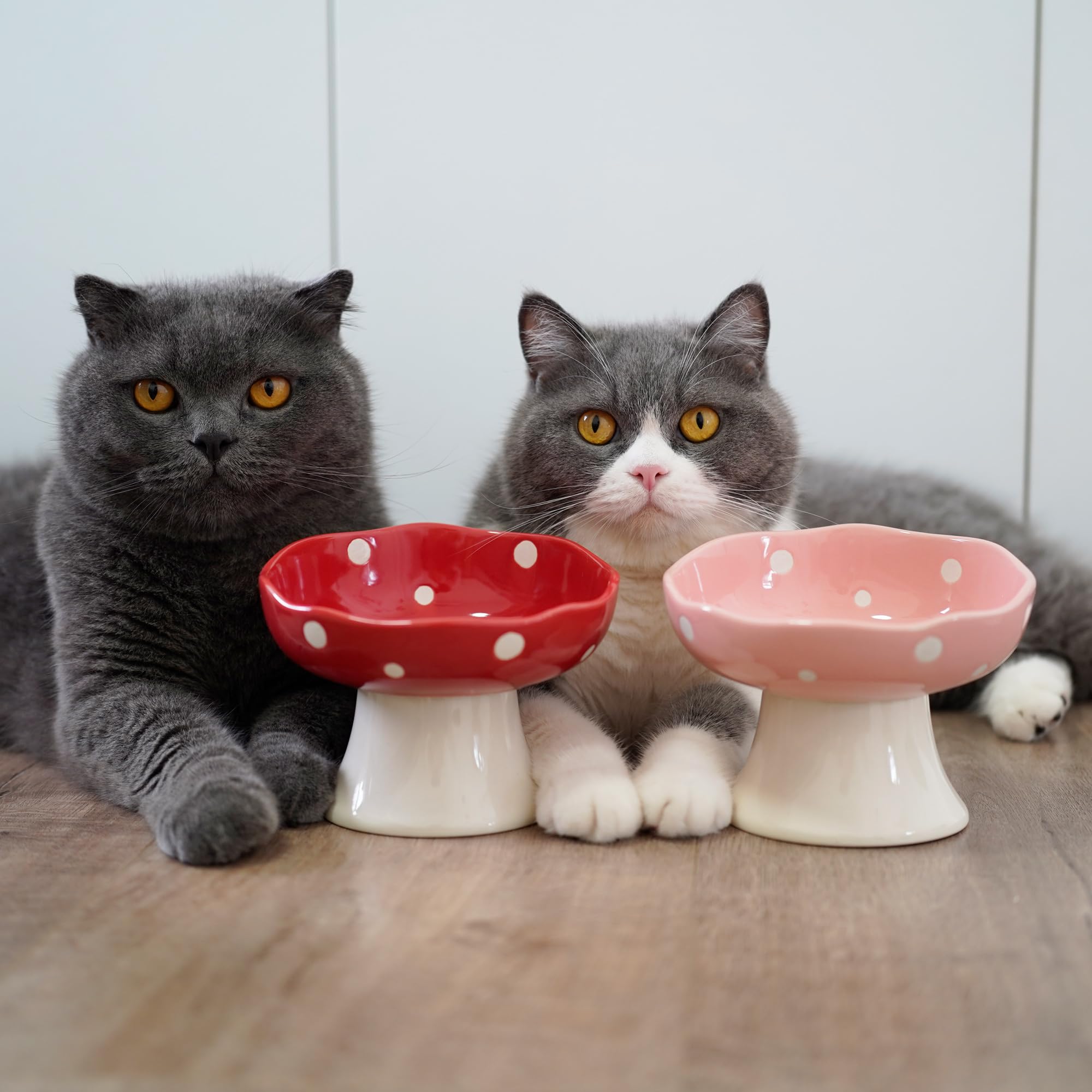 TRUNDISAN tazón gato hongo cerámico elevado ideal para gatos jóvenes