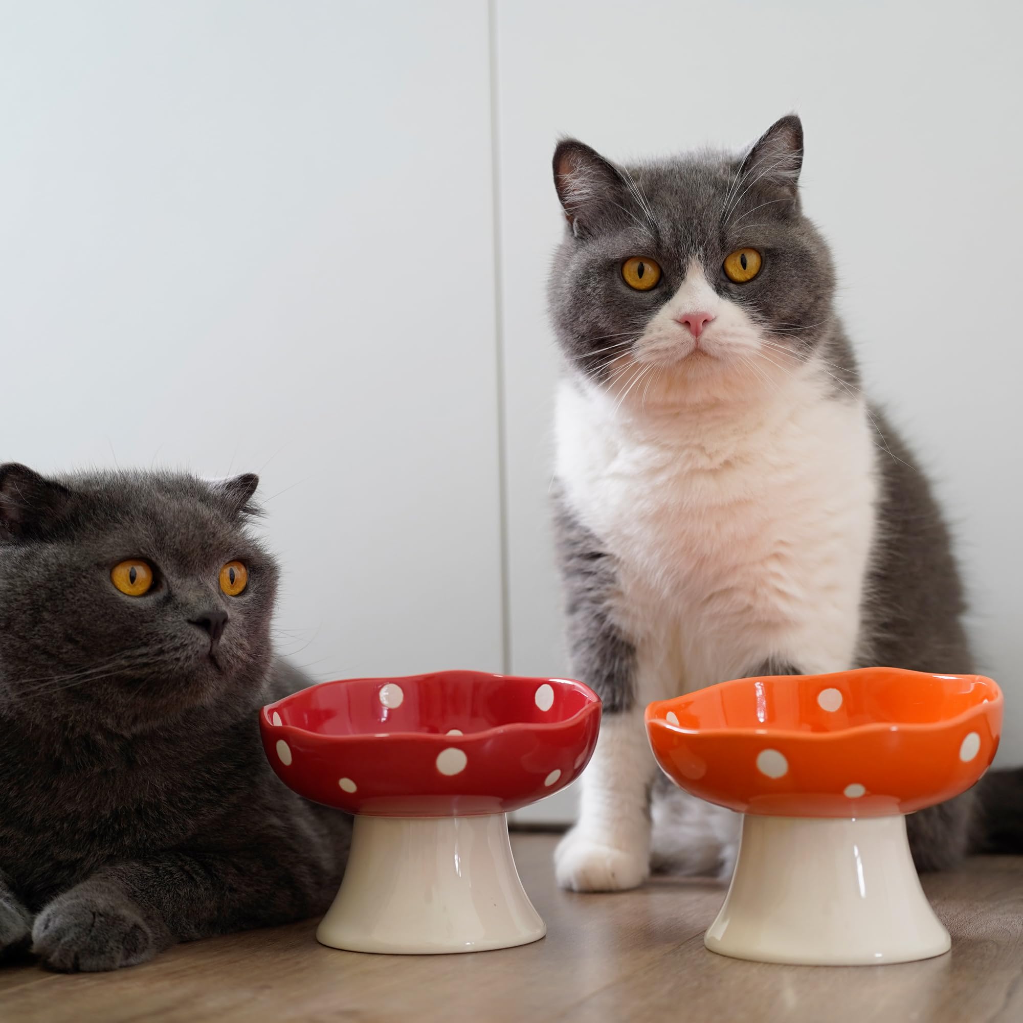 TRUNDISAN tazón gato hongo cerámico elevado durable y fácil de limpiar