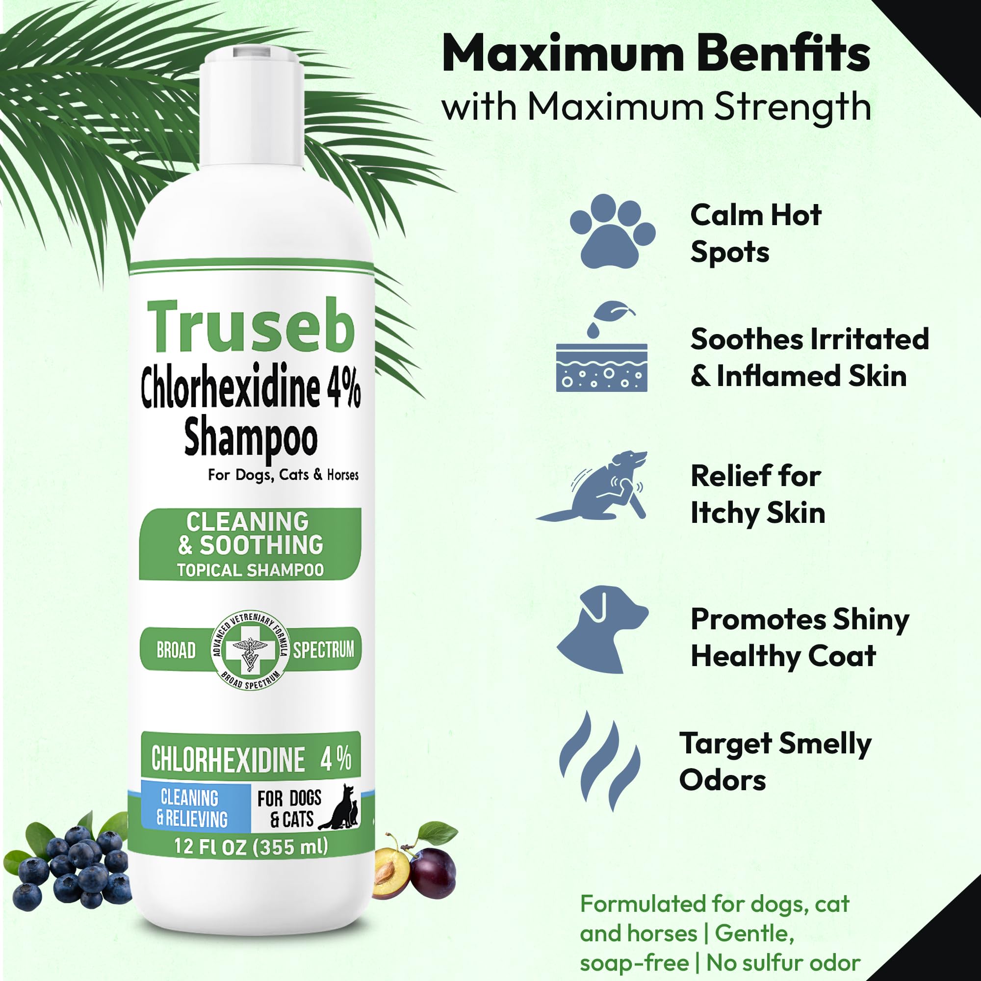 Truseb champú con aloe vera para calmar la piel durante el lavado.