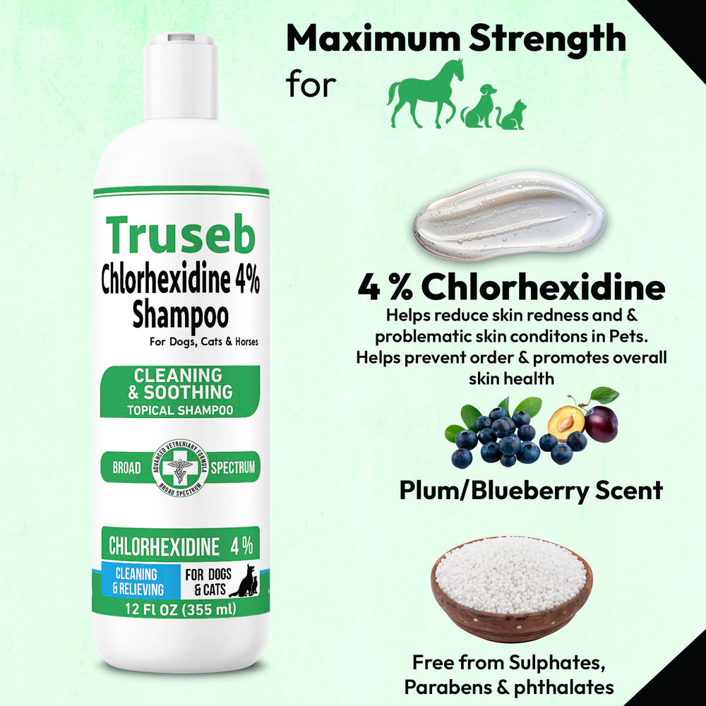 Truseb champú con clorhexidina 4% para caballos: higiene diaria.