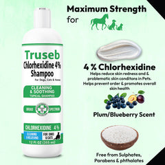 Truseb champú con clorhexidina 4% para caballos: higiene diaria.