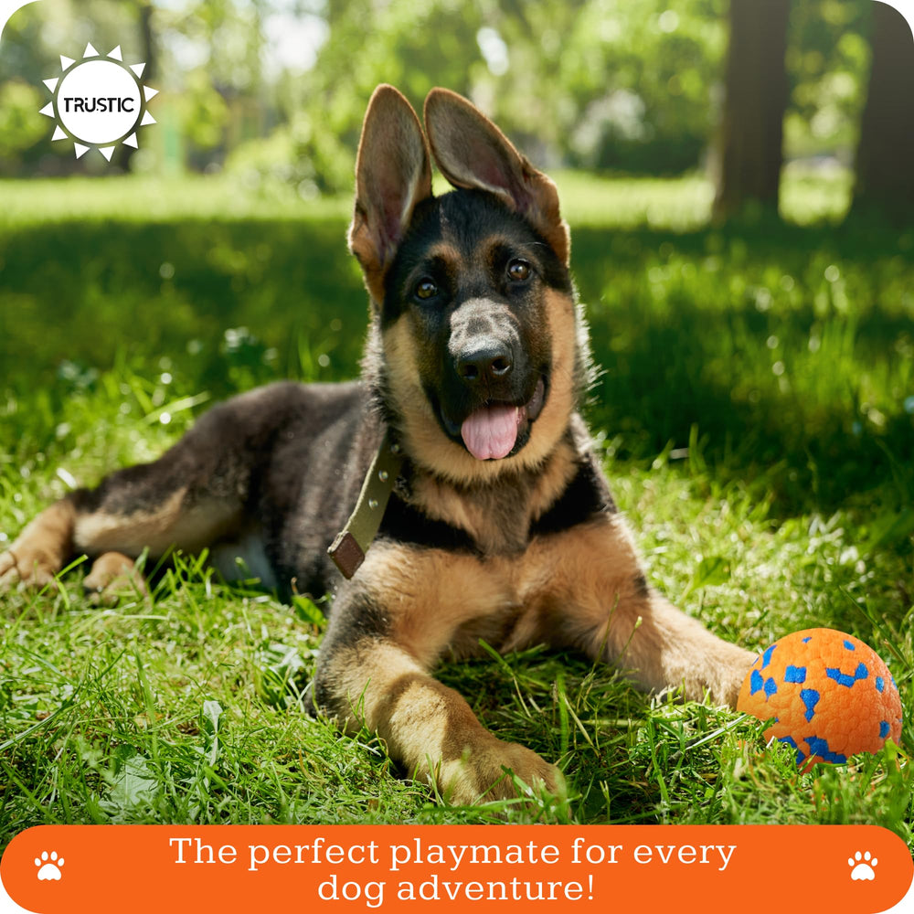 Trustic Foam Fetch bola de 3 pulgadas, perfecta para perros grandes en juego