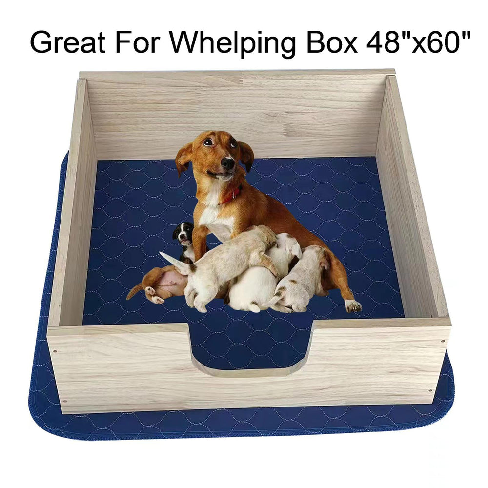 Almohadillas con base antideslizante Trusupetta 53x65, ideal para área de juego.