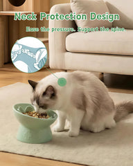 Cuenco TRUVIC para gato cerámico alto con inclinación para postura natural.
