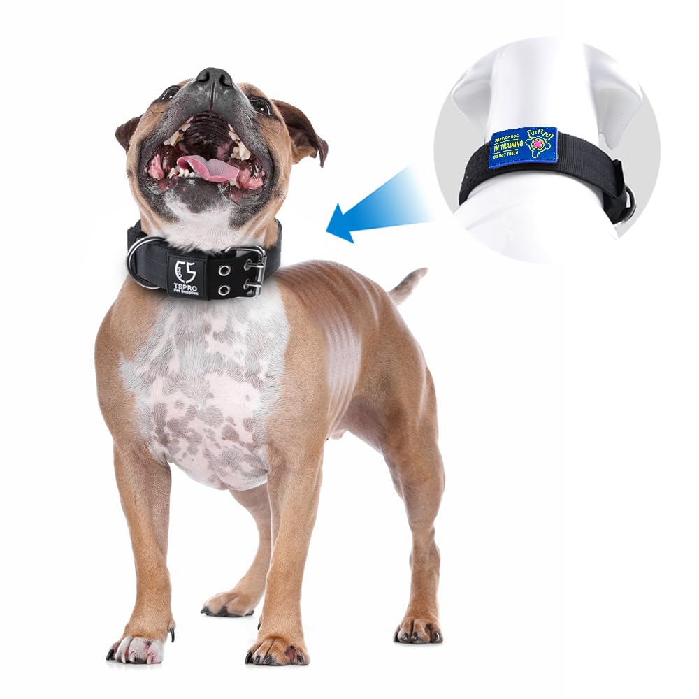 TSPRO collar verde con 5 puntos de ajuste para un ajuste perfecto.
