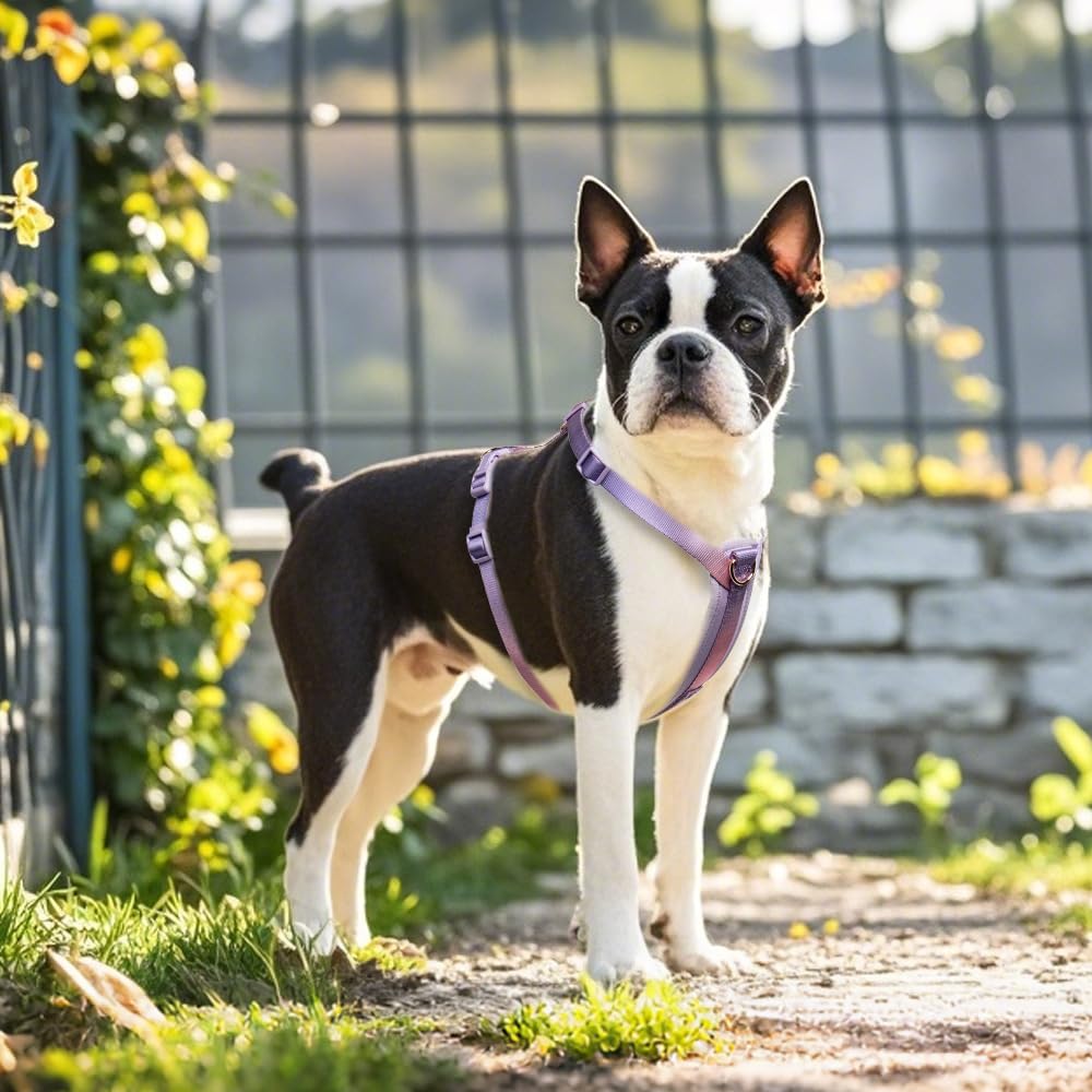 Talla 2 Tspro para perros medianos, ajuste cómodo cuello y pecho.