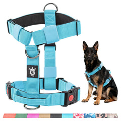 Arnés táctico tspro para perro azul visto de frente, ajuste cómodo para caminatas.