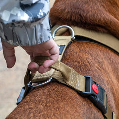 Asa acolchada de TSPRO para un control suave durante paseos.