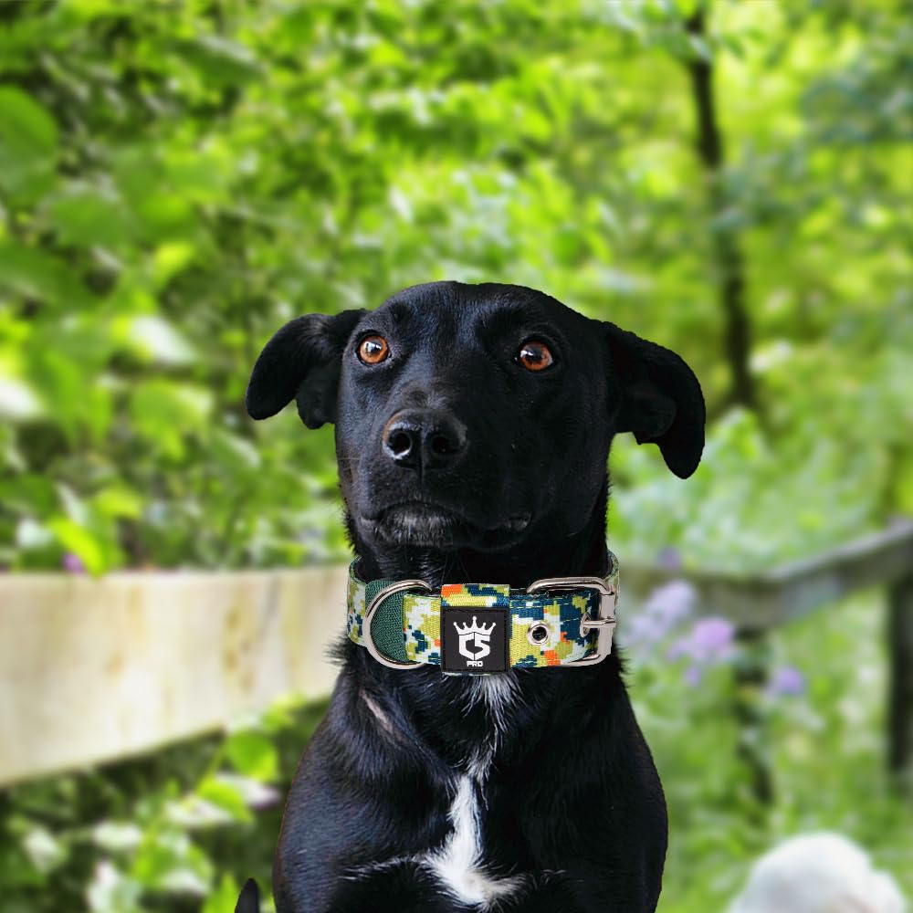 Calidad de Suministros para Mascotas TSPRO resalta durabilidad y limpieza